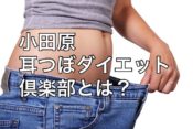 小田原の耳つぼダイエット倶楽部